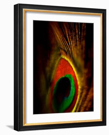 Flight Abstraction-Clive Nolan-Framed Photographic Print