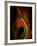 Flight Abstraction-Clive Nolan-Framed Photographic Print