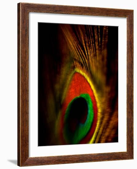 Flight Abstraction-Clive Nolan-Framed Photographic Print