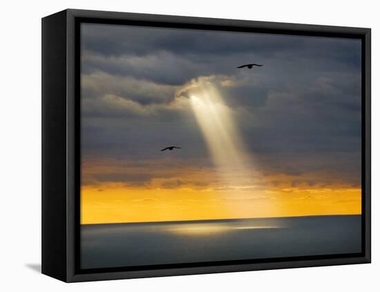 Flight for Freedom-Adrian Campfield-Framed Premier Image Canvas