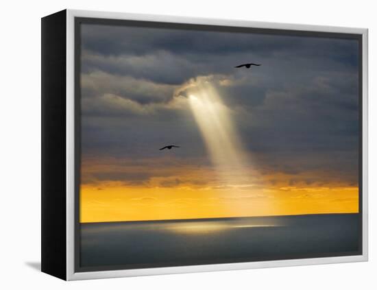 Flight for Freedom-Adrian Campfield-Framed Premier Image Canvas