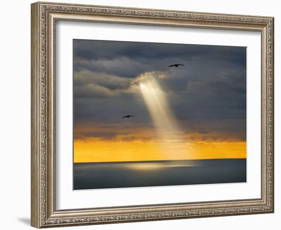 Flight for Freedom-Adrian Campfield-Framed Photographic Print