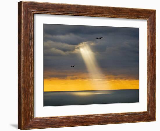 Flight for Freedom-Adrian Campfield-Framed Photographic Print