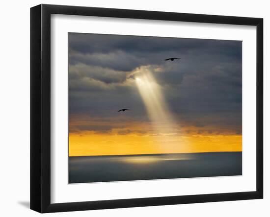 Flight for Freedom-Adrian Campfield-Framed Photographic Print