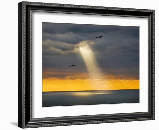 Flight for Freedom-Adrian Campfield-Framed Photographic Print