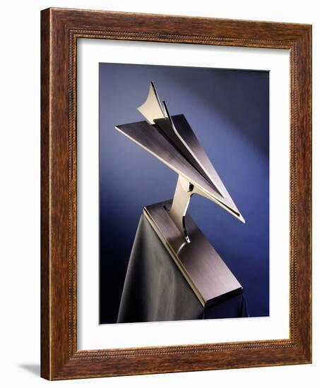 Flight I, 2004-Peter Thursby-Framed Giclee Print