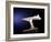 Flight I, 2004-Peter Thursby-Framed Giclee Print