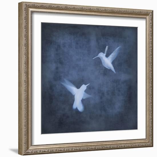 Flight in Blue I-Chris Donovan-Framed Art Print