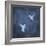 Flight in Blue I-Chris Donovan-Framed Art Print