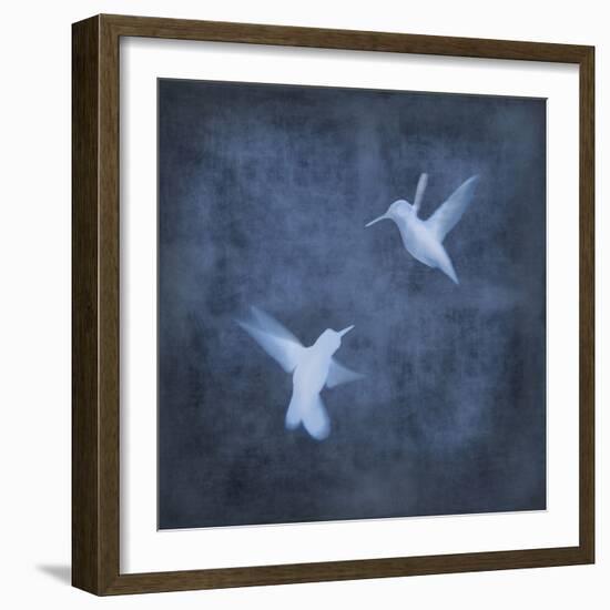 Flight in Blue I-Chris Donovan-Framed Art Print