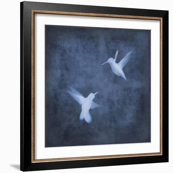 Flight in Blue I-Chris Donovan-Framed Art Print