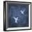 Flight in Blue I-Chris Donovan-Framed Art Print