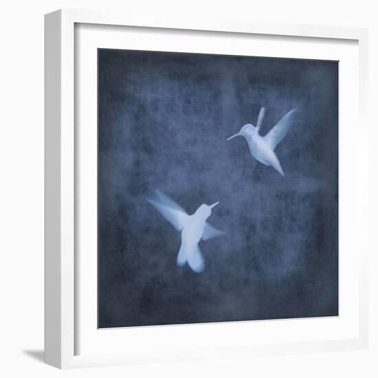 Flight in Blue I-Chris Donovan-Framed Art Print