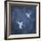 Flight in Blue I-Chris Donovan-Framed Art Print