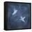 Flight in Blue II-Chris Donovan-Framed Stretched Canvas