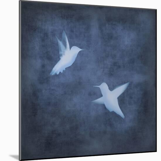 Flight in Blue II-Chris Donovan-Mounted Art Print