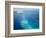 Flight into Bora Bora, Society Islands, French Polynesia-Michele Westmorland-Framed Photographic Print