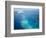 Flight into Bora Bora, Society Islands, French Polynesia-Michele Westmorland-Framed Photographic Print