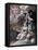 Flight into Egypt, C1566-1611-Bartholomeus Spranger-Framed Premier Image Canvas