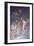 Flight into Egypt-Andrea Pozzo-Framed Giclee Print