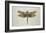 Flight of Fancy I-Jennifer Brice-Framed Giclee Print