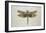 Flight of Fancy I-Jennifer Brice-Framed Giclee Print