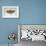 Flight of Fancy II-Jennifer Brice-Framed Giclee Print displayed on a wall