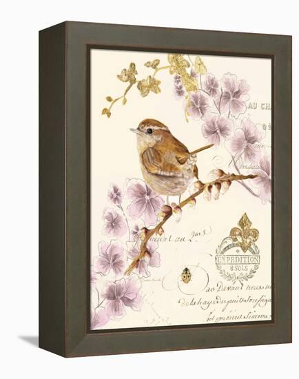 Flight of Fancy-Colleen Sarah-Framed Stretched Canvas