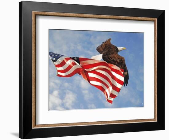 Flight of Freedom Bald Eagle-Jai Johnson-Framed Giclee Print