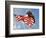 Flight of Freedom Bald Eagle-Jai Johnson-Framed Giclee Print