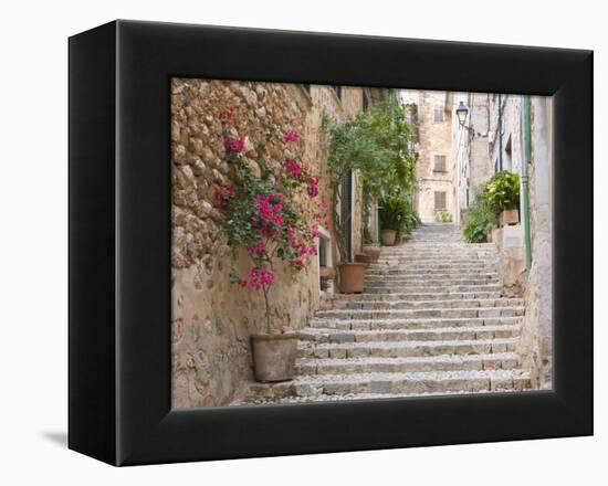 Flight of Steps in the Heart of the Village Fornalutx Near Soller, Mallorca, Balearic Islands, Spai-Ruth Tomlinson-Framed Premier Image Canvas