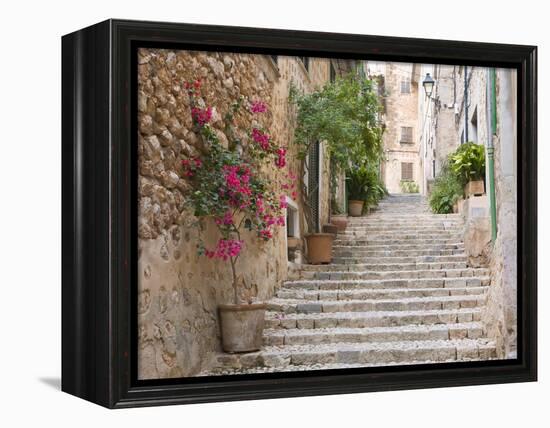 Flight of Steps in the Heart of the Village Fornalutx Near Soller, Mallorca, Balearic Islands, Spai-Ruth Tomlinson-Framed Premier Image Canvas