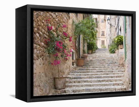 Flight of Steps in the Heart of the Village Fornalutx Near Soller, Mallorca, Balearic Islands, Spai-Ruth Tomlinson-Framed Premier Image Canvas