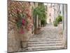 Flight of Steps in the Heart of the Village Fornalutx Near Soller, Mallorca, Balearic Islands, Spai-Ruth Tomlinson-Mounted Photographic Print