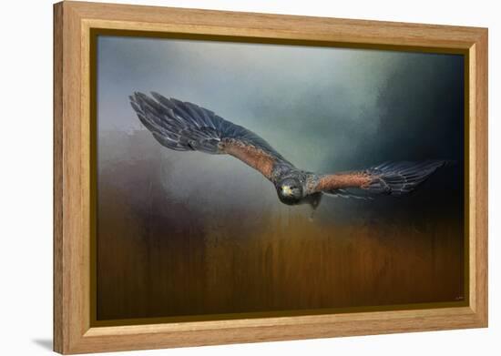 Flight of the Harris Hawk-Jai Johnson-Framed Premier Image Canvas