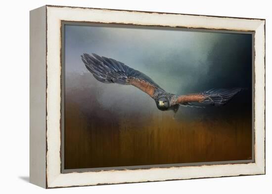 Flight of the Harris Hawk-Jai Johnson-Framed Premier Image Canvas