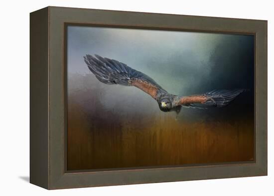 Flight of the Harris Hawk-Jai Johnson-Framed Premier Image Canvas