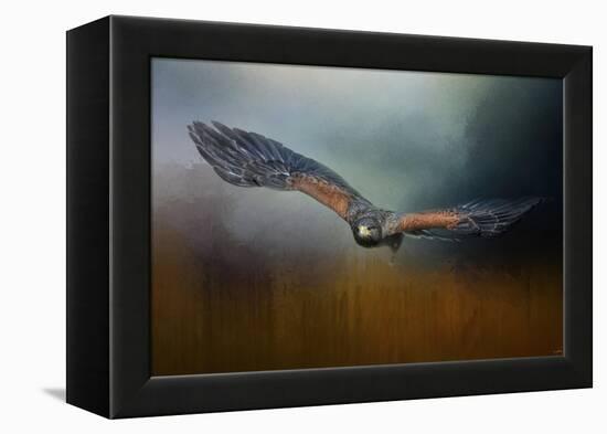 Flight of the Harris Hawk-Jai Johnson-Framed Premier Image Canvas