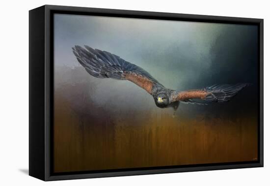 Flight of the Harris Hawk-Jai Johnson-Framed Premier Image Canvas