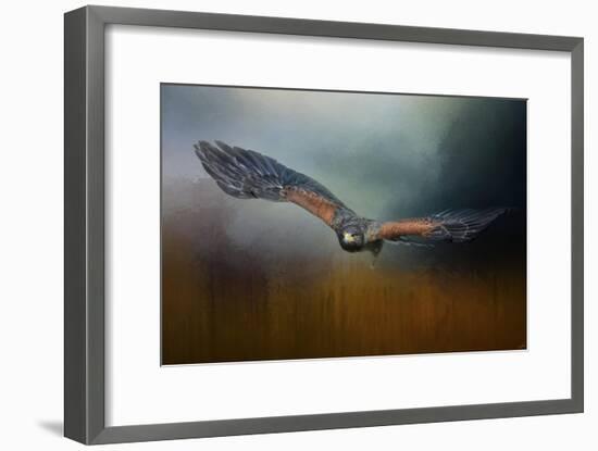 Flight of the Harris Hawk-Jai Johnson-Framed Giclee Print