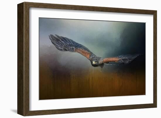 Flight of the Harris Hawk-Jai Johnson-Framed Giclee Print