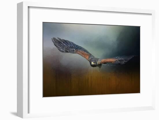 Flight of the Harris Hawk-Jai Johnson-Framed Giclee Print