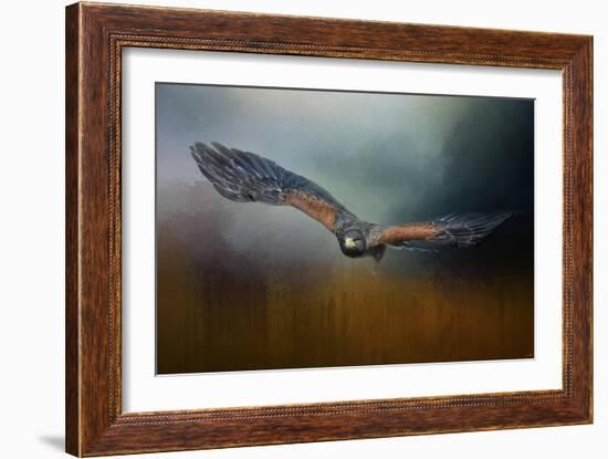 Flight of the Harris Hawk-Jai Johnson-Framed Giclee Print