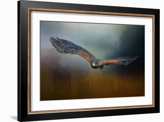 Flight of the Harris Hawk-Jai Johnson-Framed Giclee Print