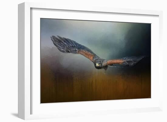 Flight of the Harris Hawk-Jai Johnson-Framed Giclee Print