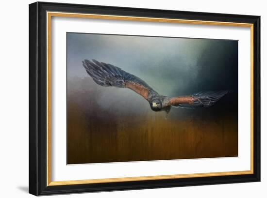 Flight of the Harris Hawk-Jai Johnson-Framed Giclee Print