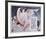 Flight of the Heart-Robert Anderson-Framed Limited Edition