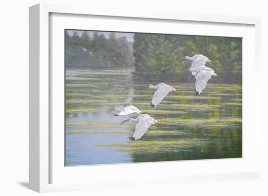 Flight of the Ibis-Bruce Dumas-Framed Giclee Print