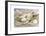 Flight of the Magnolia-Paul Nash-Framed Premium Giclee Print