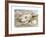 Flight of the Magnolia-Paul Nash-Framed Premium Giclee Print